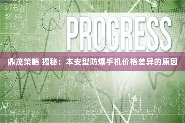 鼎茂策略 揭秘：本安型防爆手机价格差异的原因