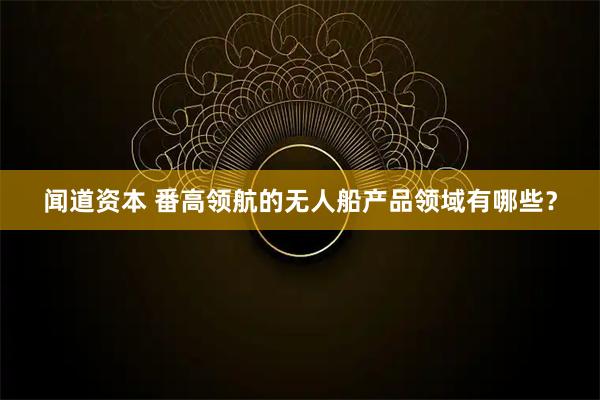 闻道资本 番高领航的无人船产品领域有哪些？