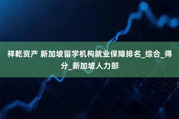 祥乾资产 新加坡留学机构就业保障排名_综合_得分_新加坡人力部