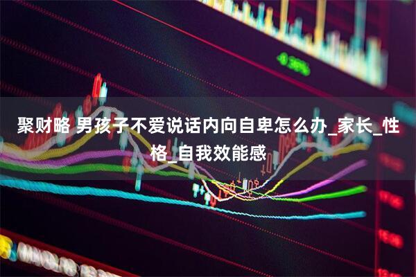 聚财略 男孩子不爱说话内向自卑怎么办_家长_性格_自我效能感