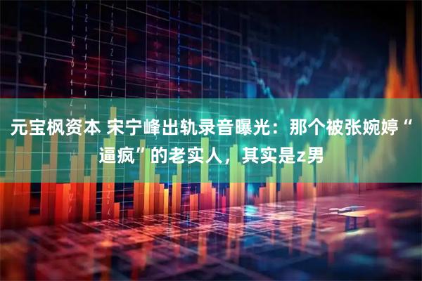 元宝枫资本 宋宁峰出轨录音曝光：那个被张婉婷“逼疯”的老实人，其实是z男